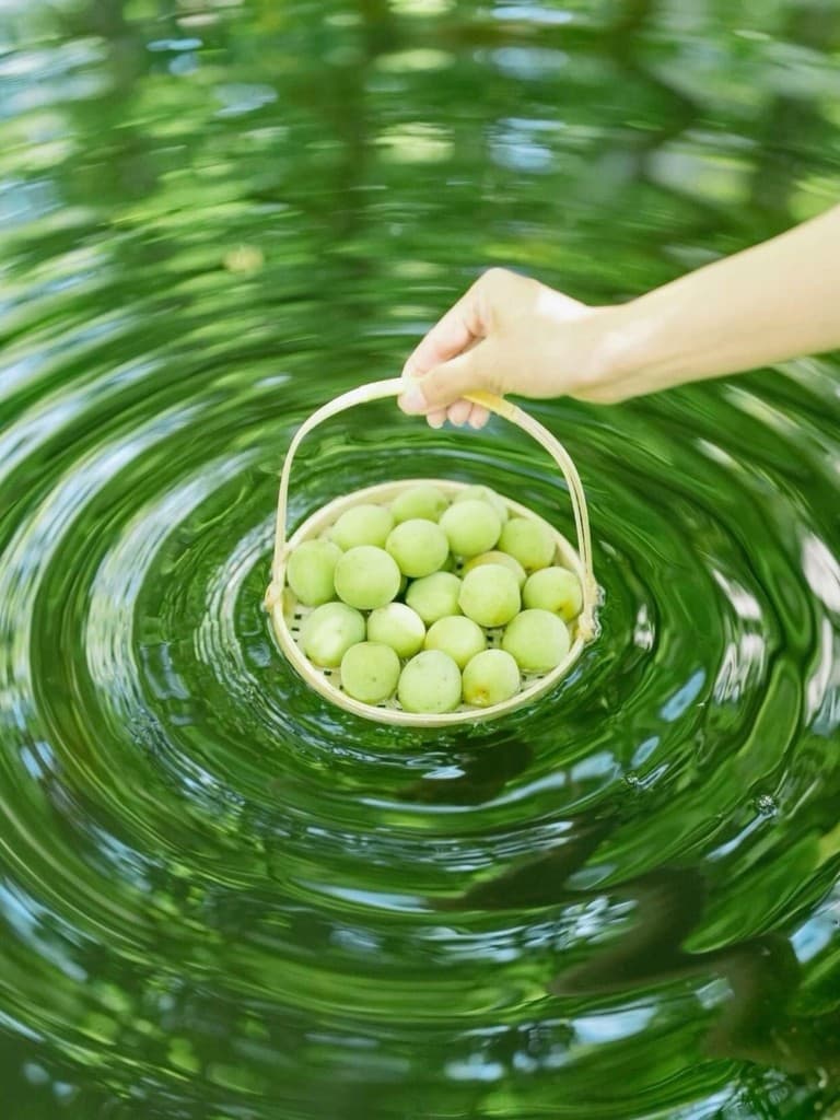 Green plums in a woven basket over rippling water