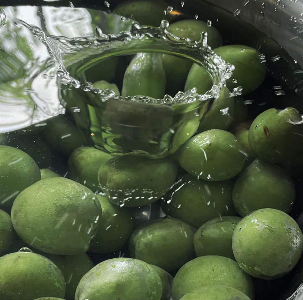 Green plums rinsed in water with a splash frozen in motion