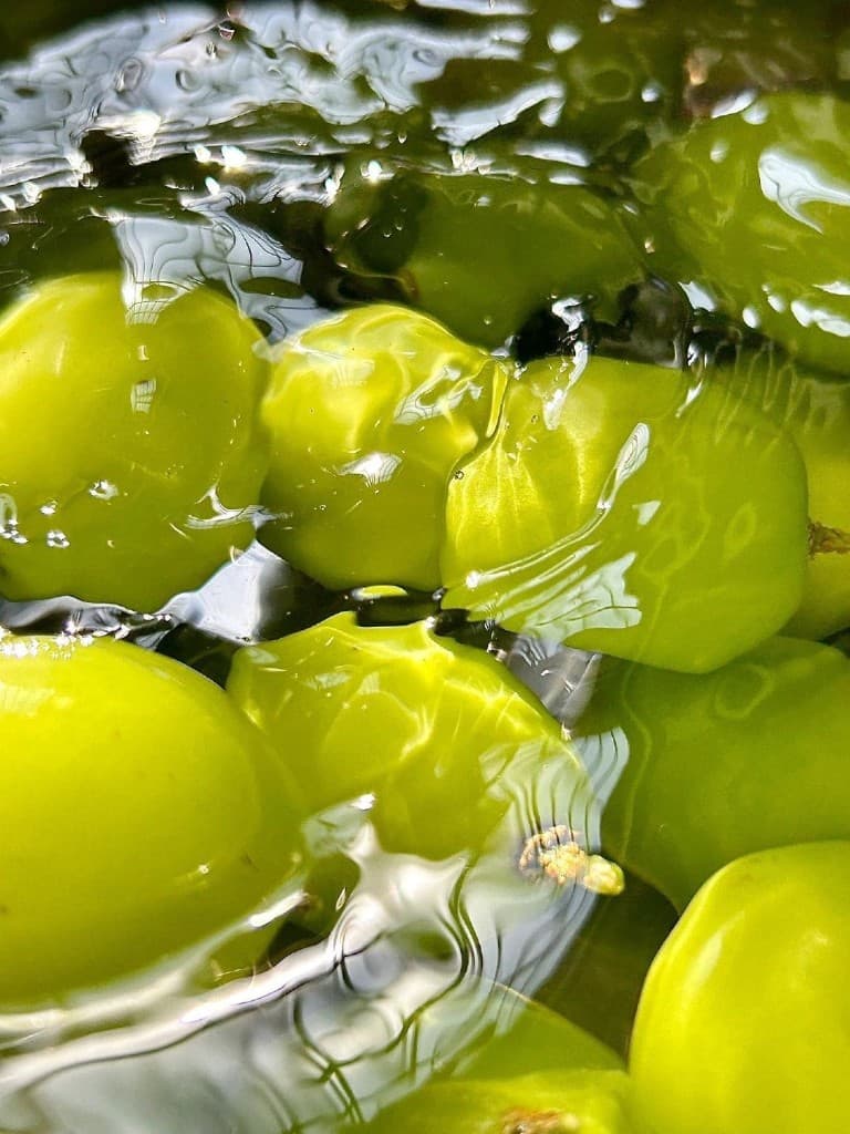 Green plums floating in clear rippling water